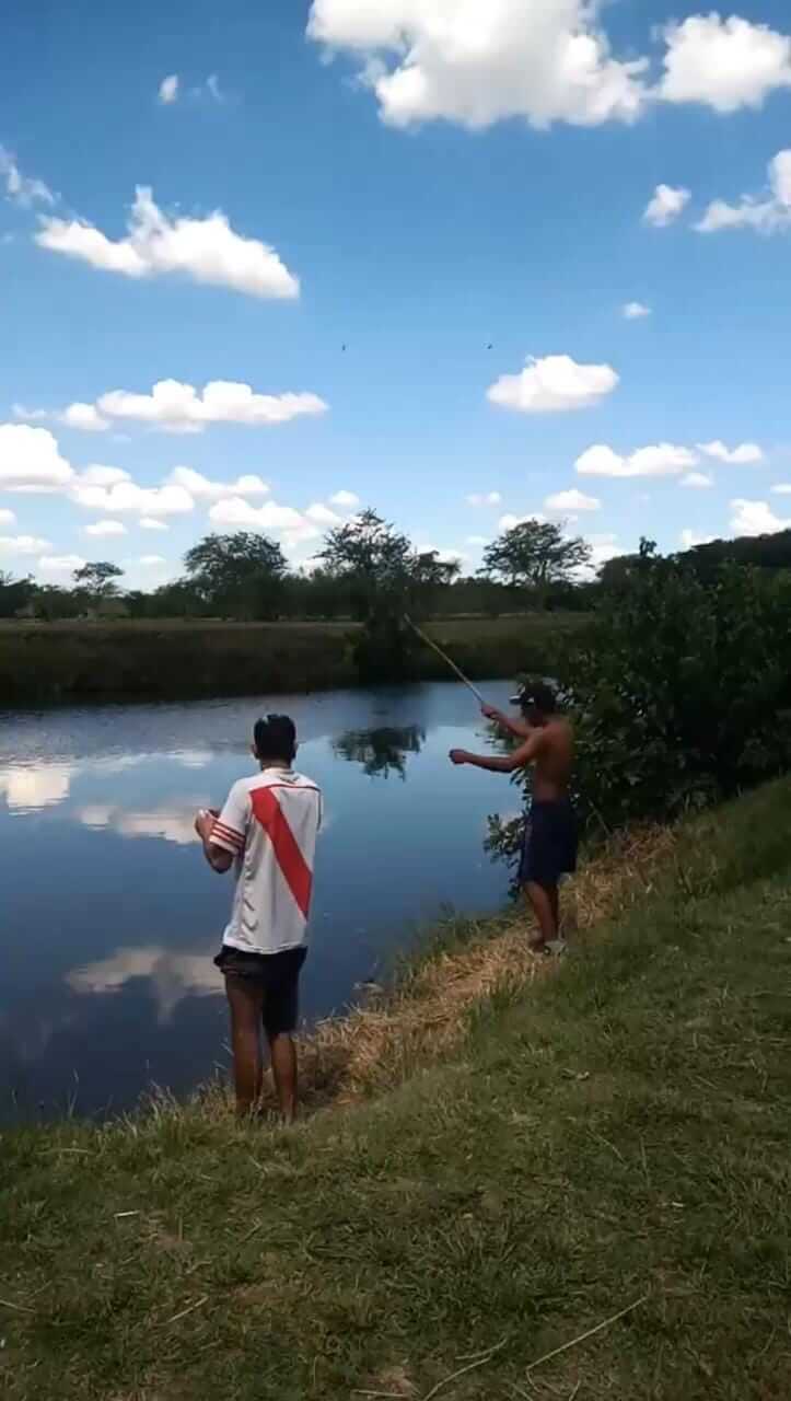 galería 23