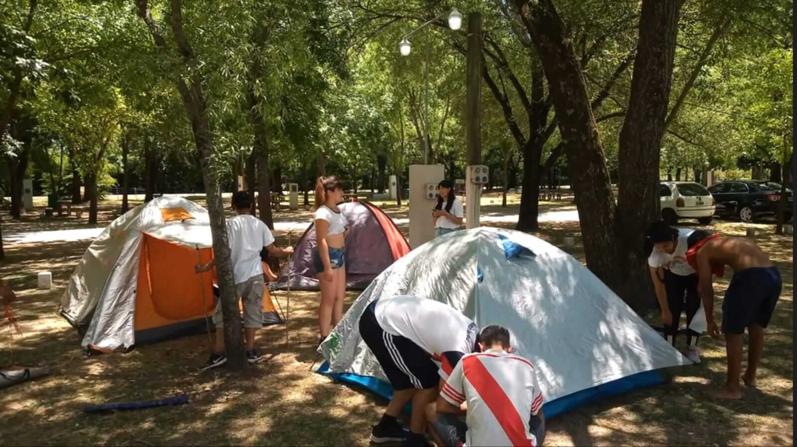galería 29